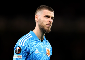 Thủ môn De Gea